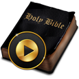 Bible Reading