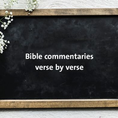 Bible Commentaries Verse by Verse