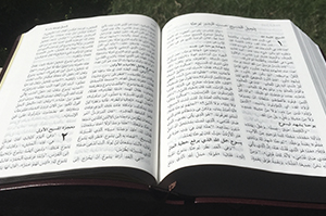Arabic Bible Text